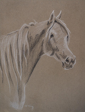 "Arab Mare" 9x12" charcoal on paper