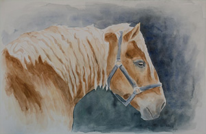 "Belgian Mare" 14x20" watercolor on paper