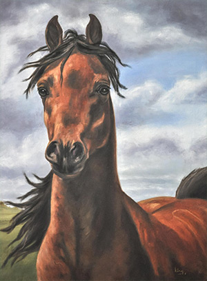 "Arabian Stallion" 20x24" oil on canvas